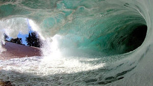 Meet your Posher, Adam